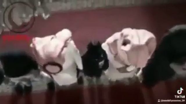 Признаки Судного дня|ПОЛНЫЙ СБОРНИК /Изд.