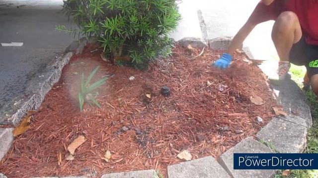 Revamping, Designing, And Planting The Front Of Our House!!🌿🌸//Ultimate Gardening