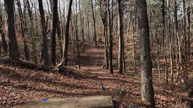 The Number One Mistake Beginners Make!! | Disc Golf Tips for New Players смотреть онлайн