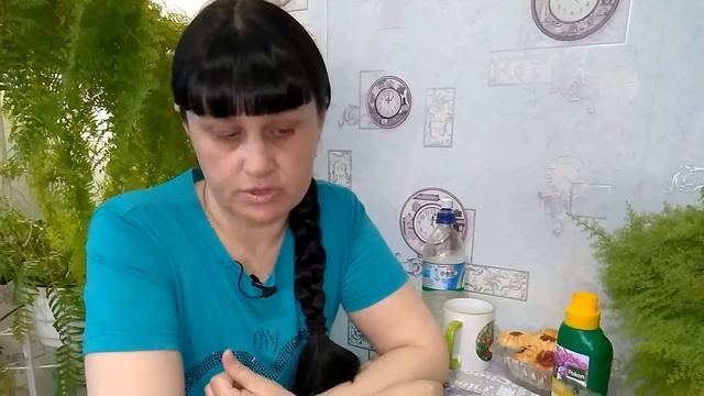 Ответы на вопросы о хойях ... // Основано на личном опыте ... смотреть онлайн
