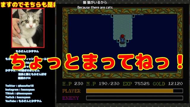 #5(End) [8本目クリア][JP/EN Tran] 広大なサルモンの神殿で迷う [イースI&II][PCエンジンミニ] смотреть онлайн