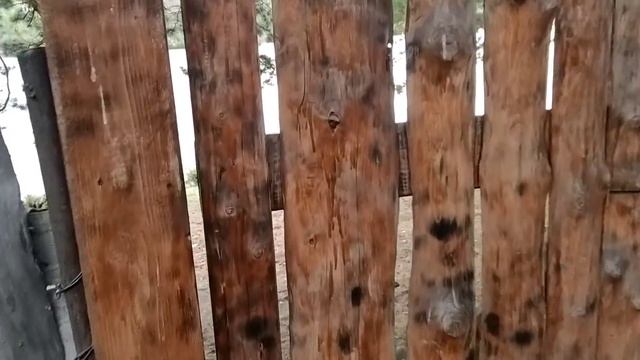 Едем на турбазу "Сказочный берег" смотреть онлайн