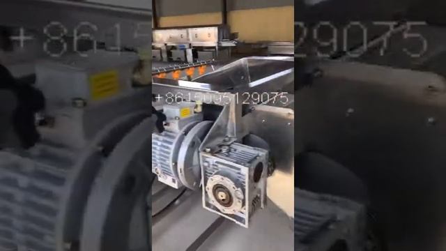 Vegetable Bubble Washer смотреть онлайн