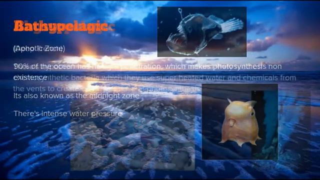 Ocean Zones смотреть онлайн