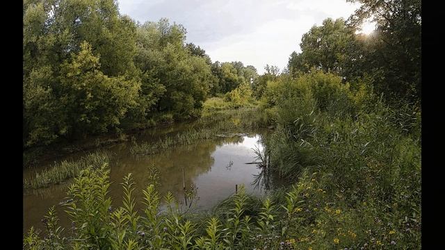 Яуза левый приток Москвы реки. Малые реки Москвы - Верхняя Яуза до Владыкино. смотреть онлайн