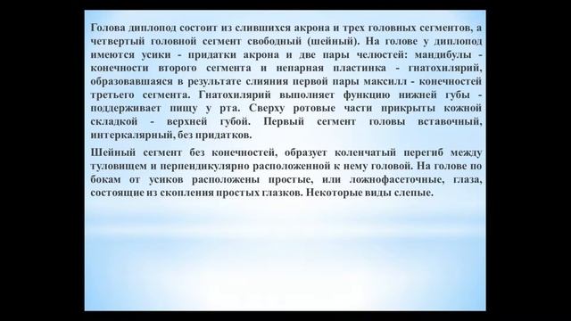 Животные (Часть 61) - Класс Двупарноногие (Кивсяки) смотреть онлайн