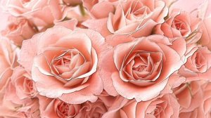 РОЗОВЫЕ РОЗЫ  Футаж