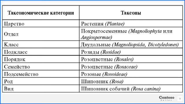 Систематика растений. Бактерии. Часть 1 смотреть онлайн