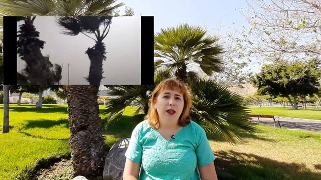 Почему нужно побывать на Канарах? Все о Канарских островах и Испании. КАНАРЫ!! Остров Гран Канариа смотреть онлайн