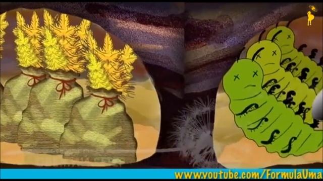 Электронная презентация "Насекомые". смотреть онлайн