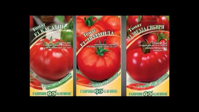 Лучшие крупноплодные томаты смотреть онлайн