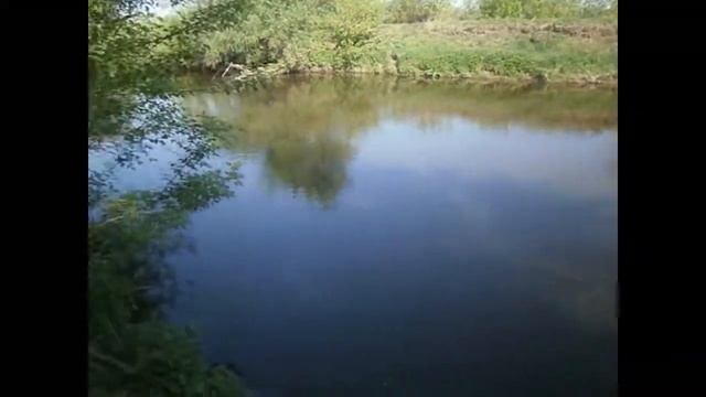 Красивое место на реке Миасс для отдыха и рыбалки смотреть онлайн