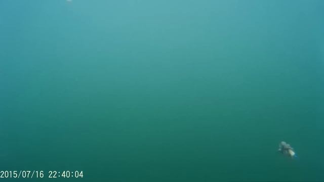 как клюет рыба под водой ШОК!! | how catch the fish смотреть онлайн