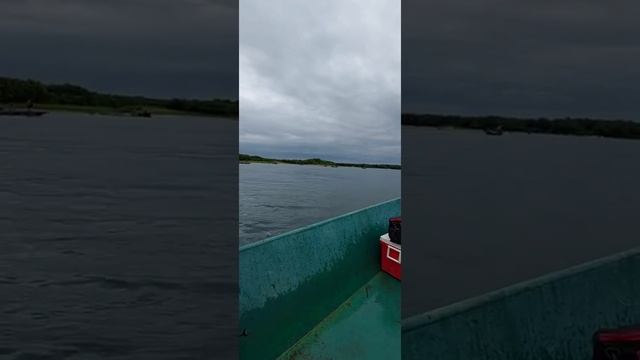 камчатка. 3 день рыбалки. переходим с горбуши на кижуча. рвем лески. теряем новые блесна. смотреть онлайн