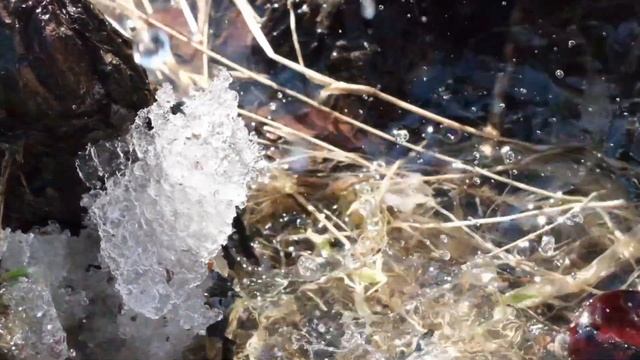 Весенняя капель - spring drops смотреть онлайн