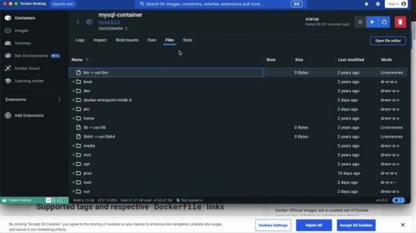 Installing/Using MySQL Database Using Docker/Docker Desktop