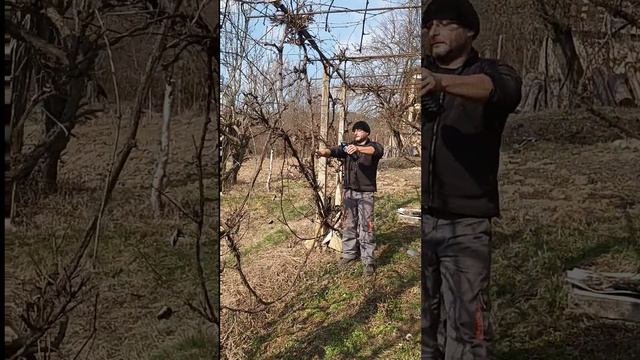 Трифон зарезан смотреть онлайн