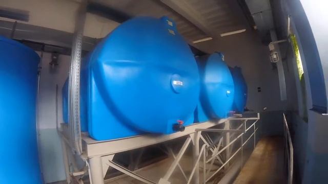 Сабисепт М, дезинфицирующее средство с моющим эффектом. смотреть онлайн