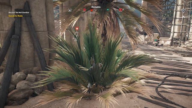 My New And Beautiful Shield; Assassin's Creed Origins #41 смотреть онлайн