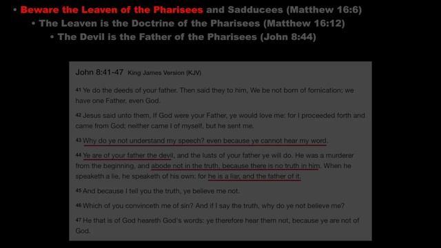 Jesus Warned: "Beware of LIES in the WORD OF GOD!" (Bible Proof) смотреть онлайн