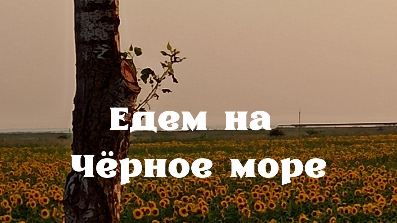 Дорога на Чёрное море. Разочарование от моря.