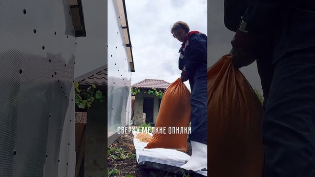 Дорожки в огороде #shorts