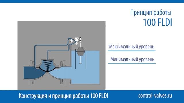 100 FLDI Dorot смотреть онлайн