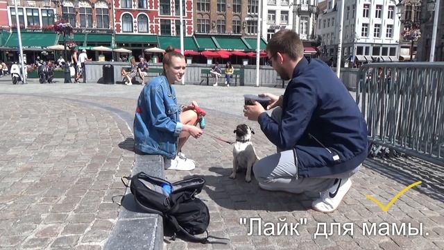 Кокос на СВЕТЛОЙ СТОРОНЕ Брюгге / Часть2 смотреть онлайн