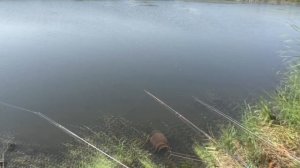 Рыбалка. Ловля карася на перловку с медом и опарыш.  My fishing.
