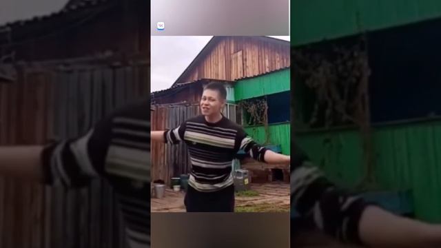 Без названия