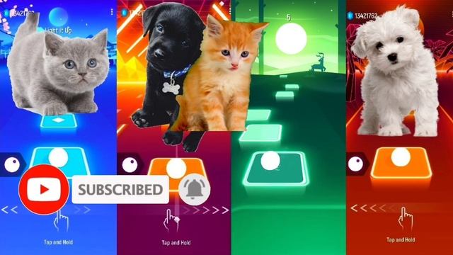Cute Cats VS Cute Dogs | Bongo Dog - Bloody Mary | Bongo Cat - Waka Waka | Tiles Hop EDM Rush смотреть онлайн