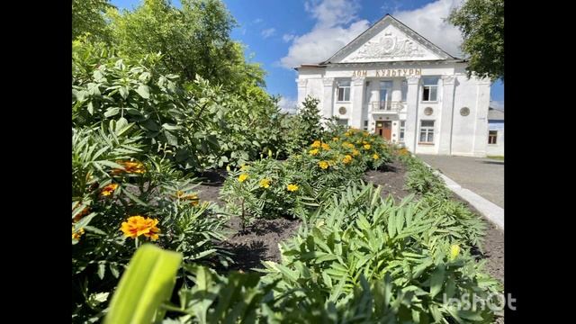 Посёлок Пионерский смотреть онлайн