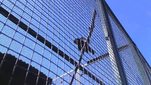 Мяукающая птица священная майна. смотреть онлайн