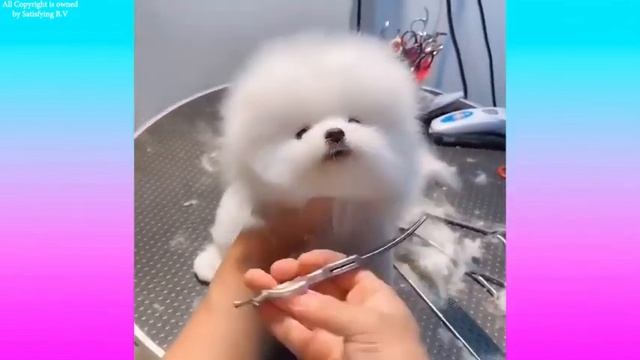 Лучшее расслабляющие видео перед сном с спокойной музыкой.