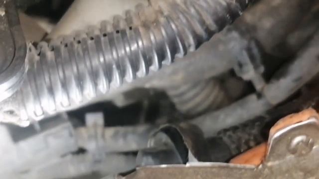 Номер двигателя посмотреть легко Ford Kuga смотреть онлайн