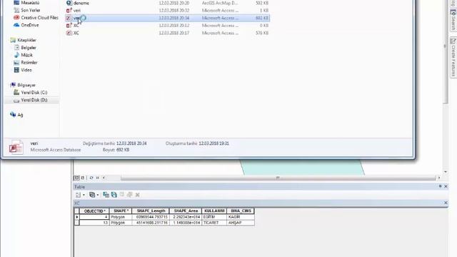 Arcgis de access kullanımı смотреть онлайн