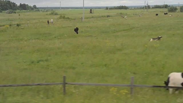 Круиз по Северной Двине на пароходе Н.В. Гоголь смотреть онлайн
