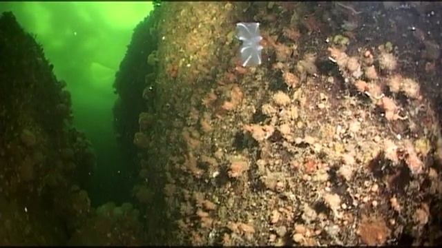 Предельная глубина - 334 - Белое Море. Подледный дайвинг.