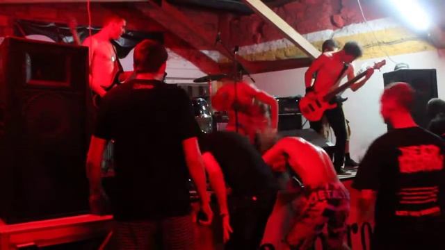 Svin Killer - Cryptic Milk смотреть онлайн