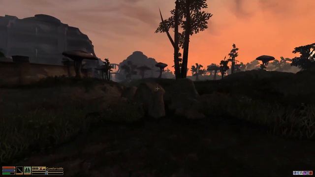 Иммерсивный Morrowind #1 - Начало