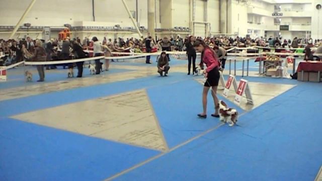 22.04.2012 FCI CACIB 