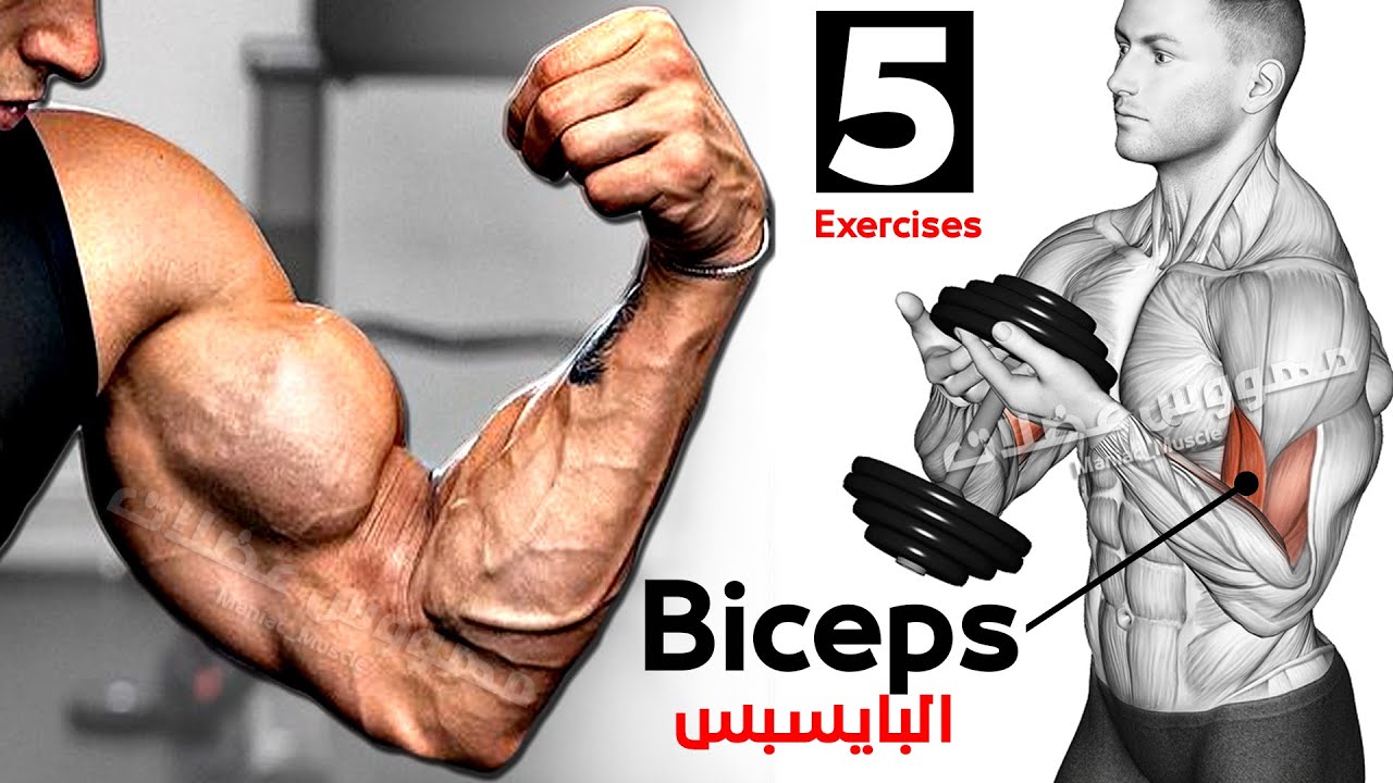 ? Как быстро накачать бицепс (5 эффективных тренировок) смотреть онлайн