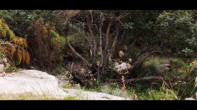 Hiking Trails Of Cyprus - Vritzi natural trail - Agios Theodoros / Άγιος Θεόδωρος смотреть онлайн