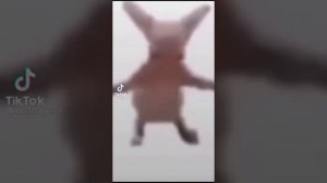 КОЛЕСЕКИ КОЛЕСИКИ И КРАСИВЫЙ РУЛЬ