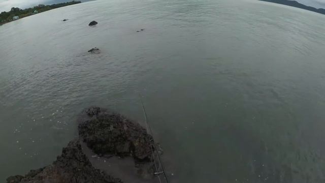 squid fishing in shore rapala rapinova line หมึกหอมชายฝั่ง смотреть онлайн