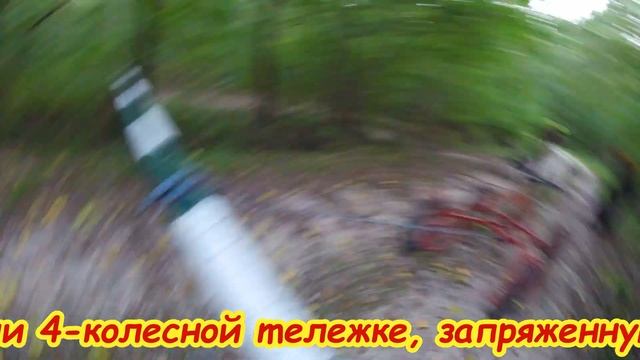 Картинг смотреть онлайн