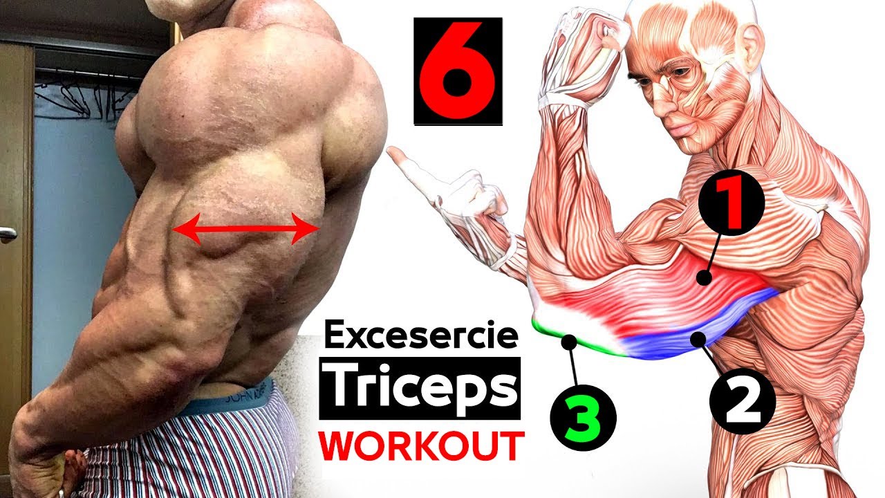 6 лучших упражнений на трицепс ? смотреть онлайн