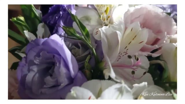 💞 ROMANTIC MOOD 💞 РОМАНТИЧНОЕ НАСТРОЕНИЕ 💞 #Romantic_mood #Романтичное_настроение #Прекрасные_цветы смотреть онлайн