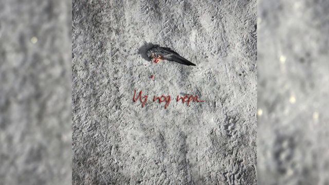 Владимирский - Из под пера (2017) смотреть онлайн