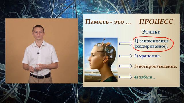 Что такое эффективное обучение смотреть онлайн